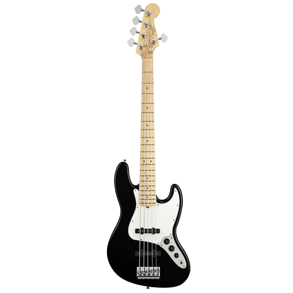 Fender Jazz 5-string bass guitar.