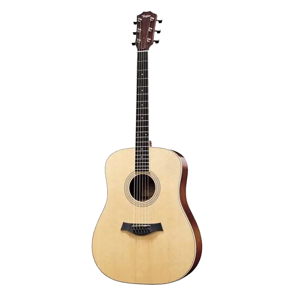 Taylor DN3 acoustic guitar.